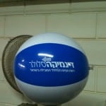 כדור ים עם לוגו